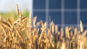 Read more about the article How Solar Energy is Revolutionizing Farming in Alberta